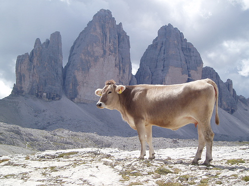 dall’ISPESL LE SAFETY-CHECKS PER LA VALUTAZIONE DEL RISCHIO NELLE PICCOLE AZIENDE