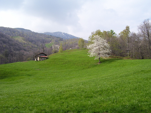 Sicurezza sul lavoro Pubblicato il bando di Donne e Lavoro: strisce di sicurezza