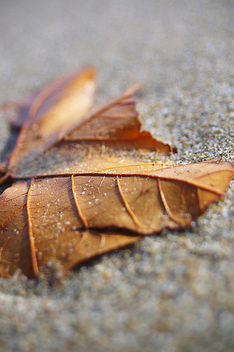 Dati e prevenzione nel settore alberghiero e della ristorazione
